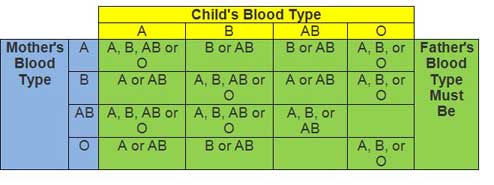 Using Blood Types To Confirm A Child S Father Using Blood Types To Confirm A Child S Father