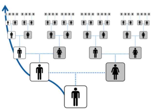Y-Chromosome Testing